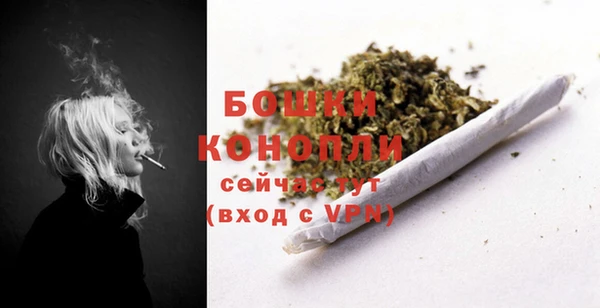 apvp Гусь-Хрустальный