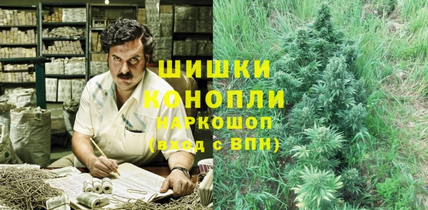 экстази Гусев