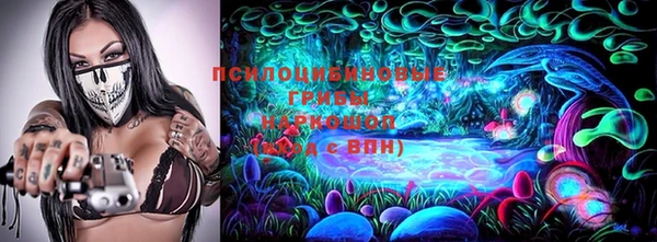 apvp Гусь-Хрустальный