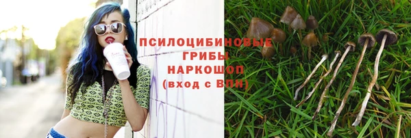 apvp Гусь-Хрустальный