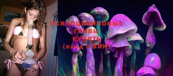 экстази Гусев